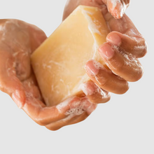 Load image into Gallery viewer, meow meow tweet coconut cacao body soap