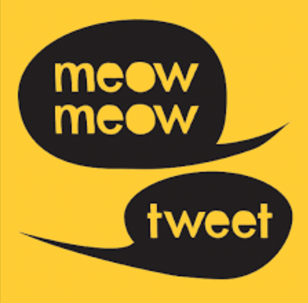 Local Sustainable Business Spotlight: Meow Meow Tweet!