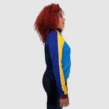 Load image into Gallery viewer, primary colors &#39;color block&#39; sweatshirt *NEW RELEASE*
